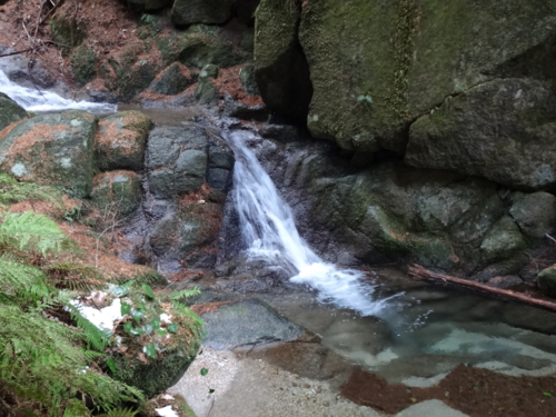 f:id:mint0606:20150104183058j:image f:id:mint0606:20150104183058j:image
