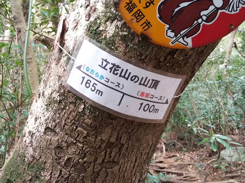 f:id:mint0606:20181230183148j:plain f:id:mint0606:20181230183148j:plain