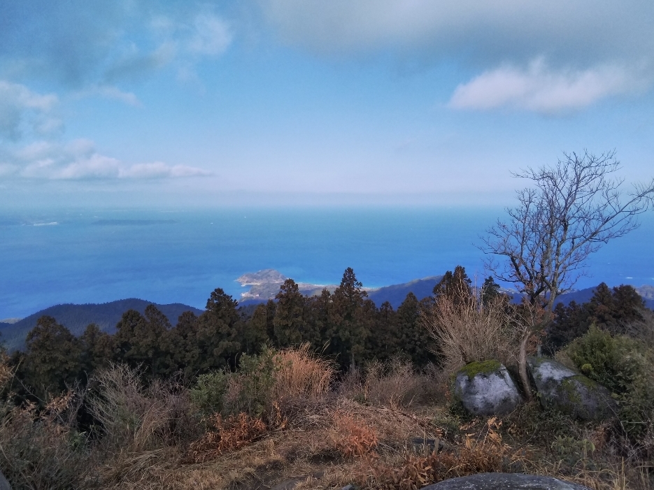 f:id:mint0606:20190121193119j:plain f:id:mint0606:20190121193119j:plain