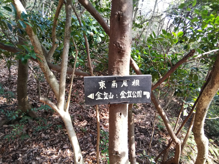 f:id:mint0606:20190217175433j:plain f:id:mint0606:20190217175433j:plain