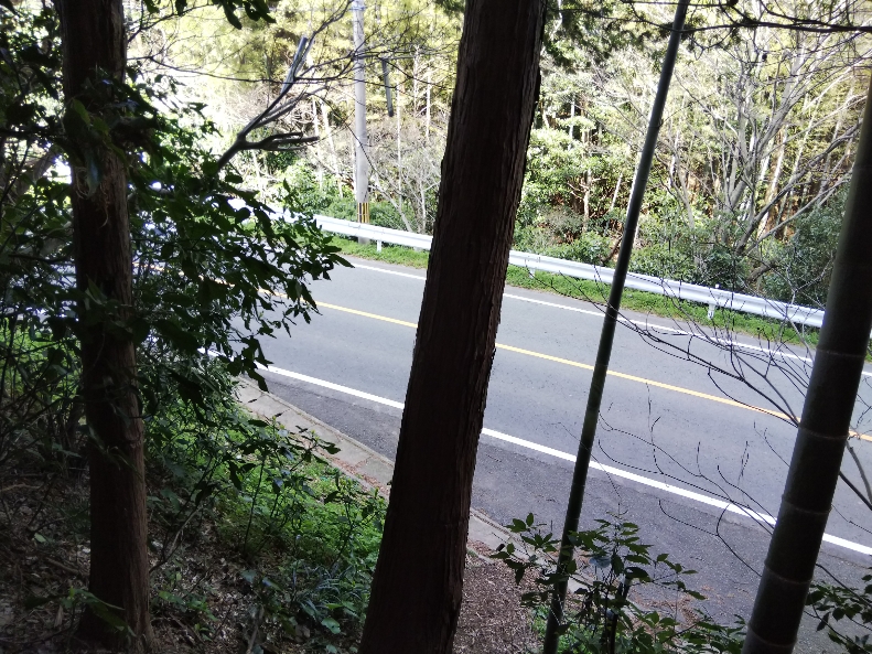 f:id:mint0606:20190318213842j:plain f:id:mint0606:20190318213842j:plain