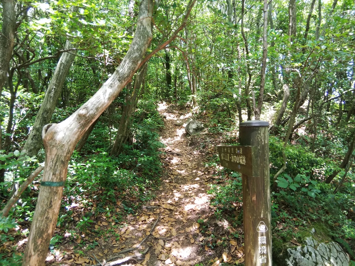 f:id:mint0606:20190623222254j:plain