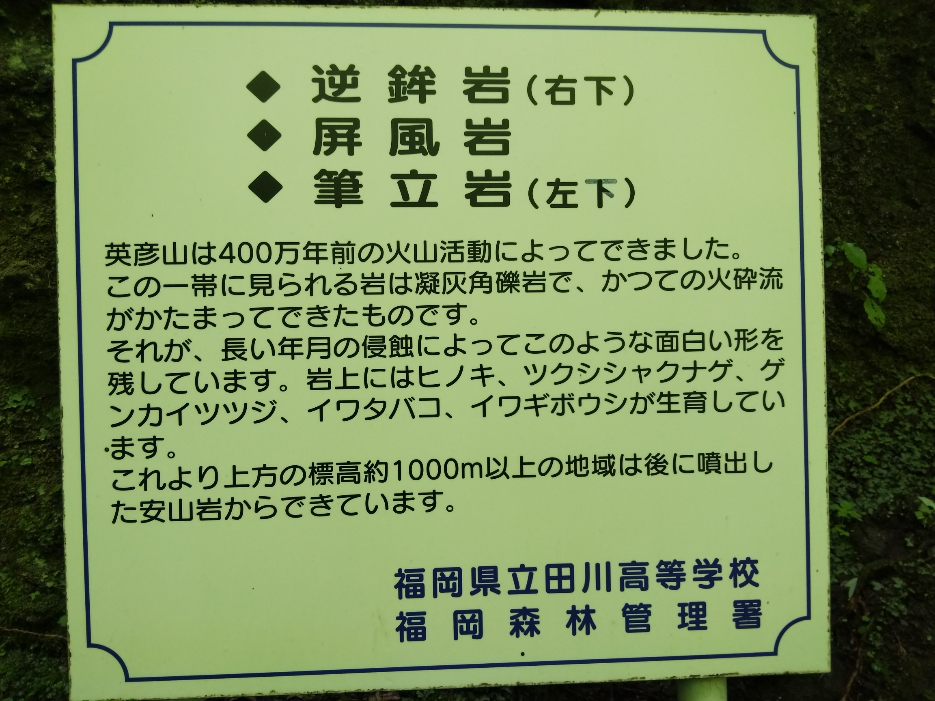 f:id:mint0606:20190716220310j:plain f:id:mint0606:20190716220310j:plain