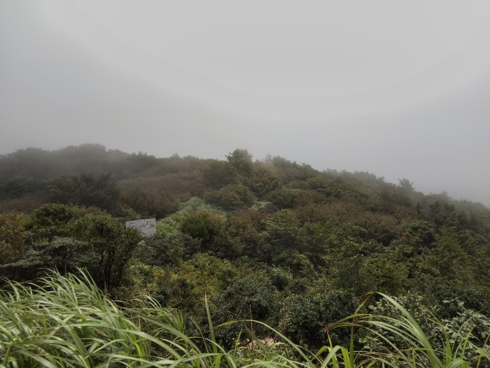f:id:mint0606:20190728172315j:plain f:id:mint0606:20190728172315j:plain