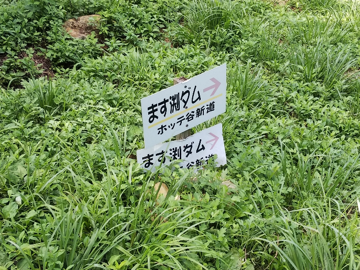 f:id:mint0606:20190813210748j:plain f:id:mint0606:20190813210748j:plain