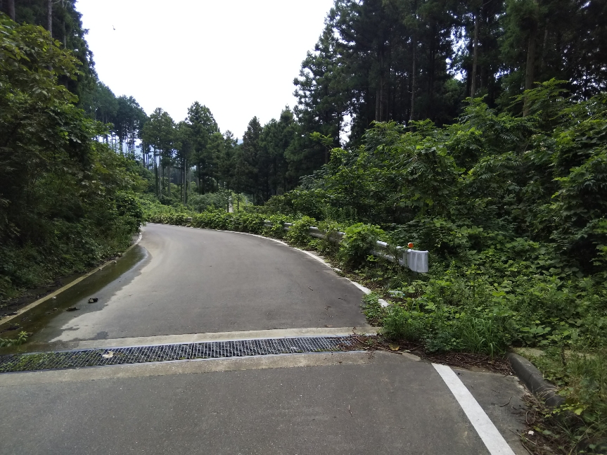 f:id:mint0606:20190818210209j:plain f:id:mint0606:20190818210209j:plain