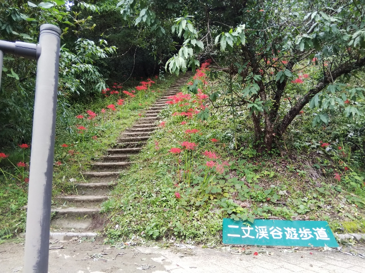 f:id:mint0606:20190929203649j:plain f:id:mint0606:20190929203649j:plain