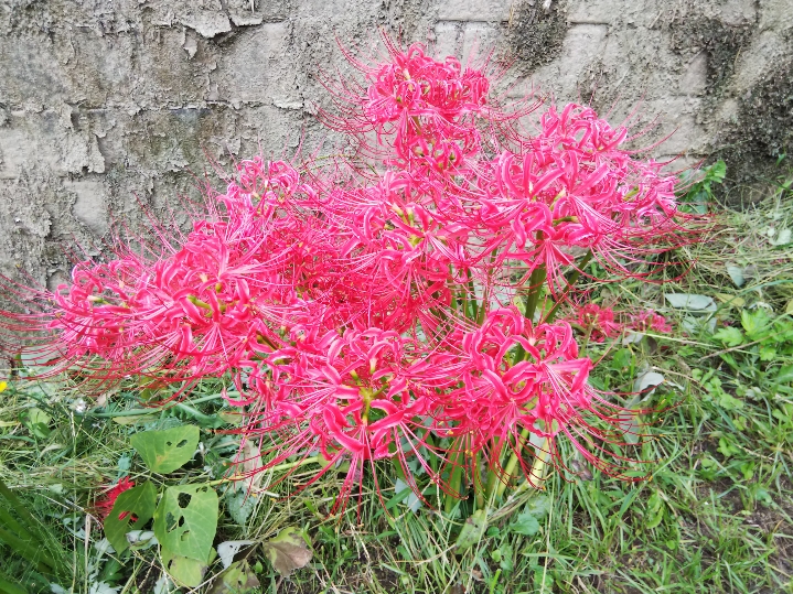 f:id:mint0606:20190929203705j:plain f:id:mint0606:20190929203705j:plain