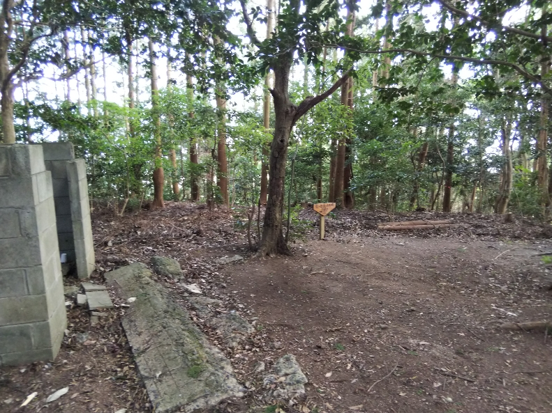 f:id:mint0606:20191014225015j:plain f:id:mint0606:20191014225015j:plain