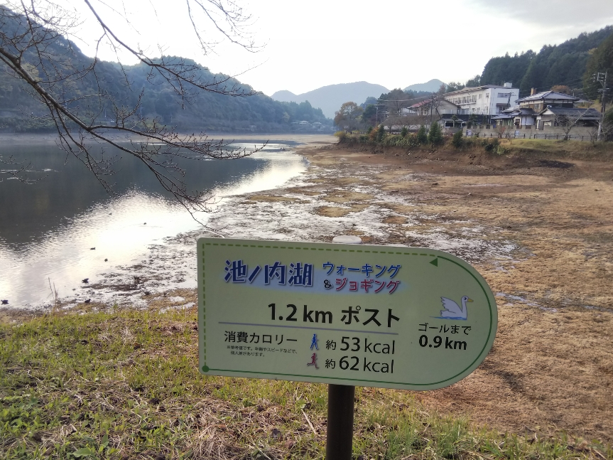 f:id:mint0606:20191201172804j:plain f:id:mint0606:20191201172804j:plain