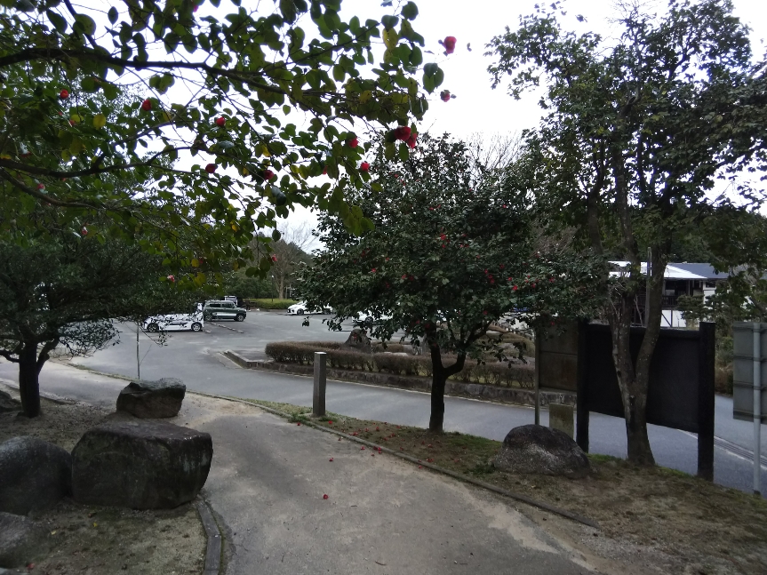 f:id:mint0606:20200113184612j:plain