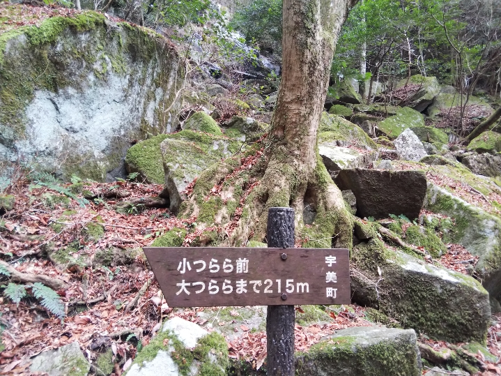 f:id:mint0606:20200113192618j:plain