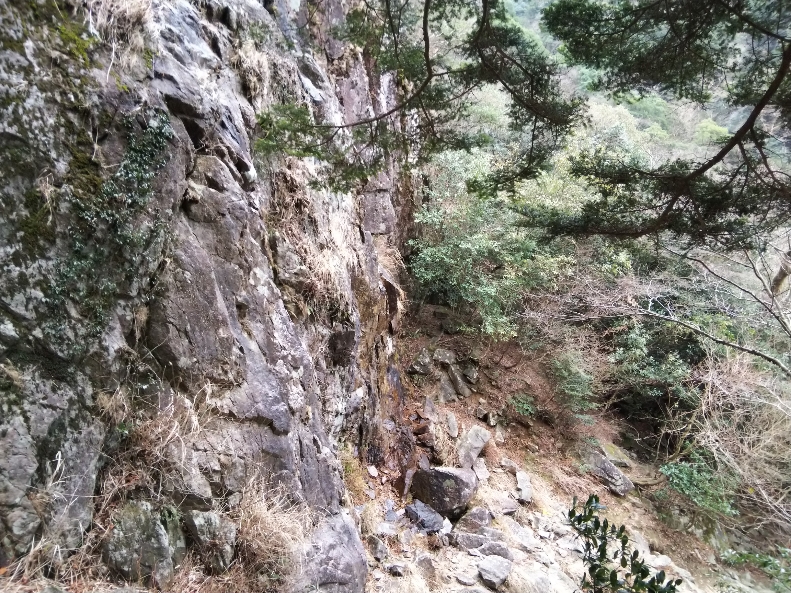 f:id:mint0606:20200113192940j:plain