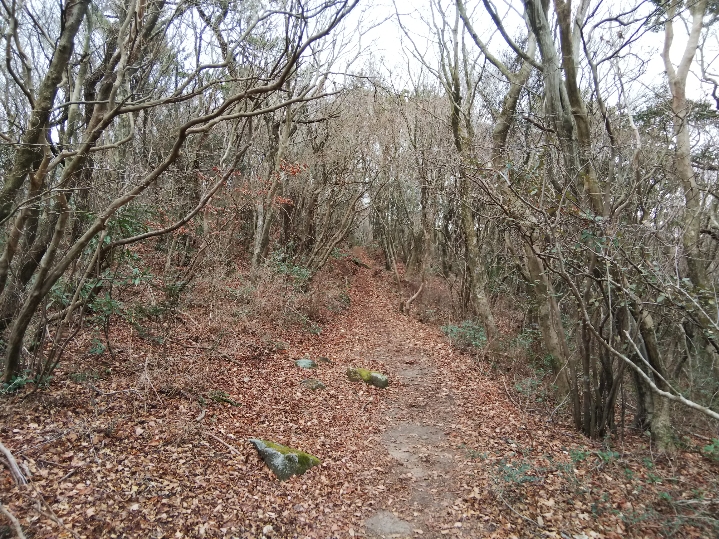 f:id:mint0606:20200113193619j:plain