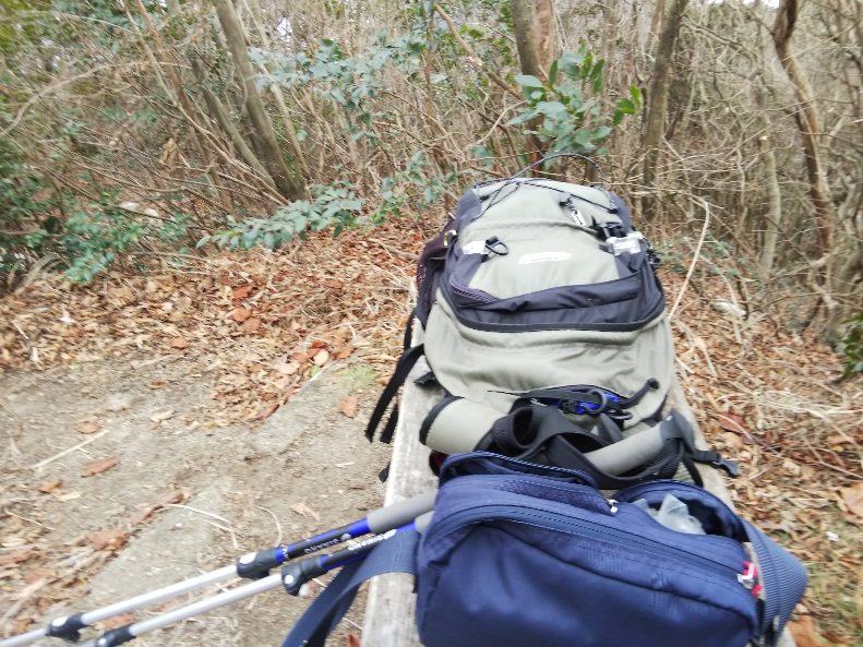 f:id:mint0606:20200113194007j:plain