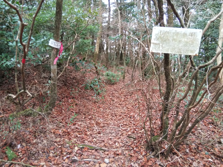 f:id:mint0606:20200113194235j:plain