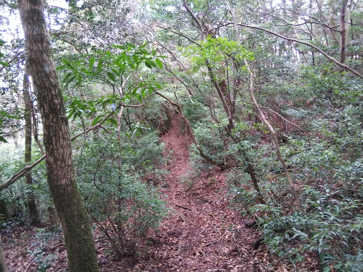 f:id:mint0606:20200113194350j:plain