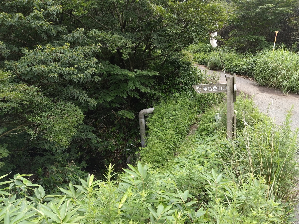f:id:mint0606:20200802230221j:plain f:id:mint0606:20200802230221j:plain