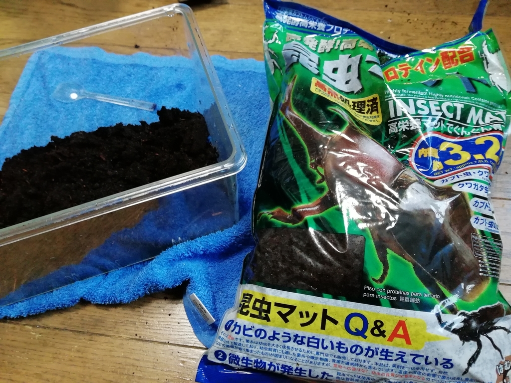 f:id:mintchoco_c:20190110234020j:plain f:id:mintchoco_c:20190110234020j:plain