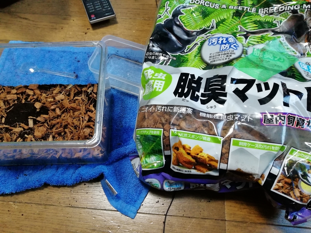 f:id:mintchoco_c:20190110234146j:plain f:id:mintchoco_c:20190110234146j:plain