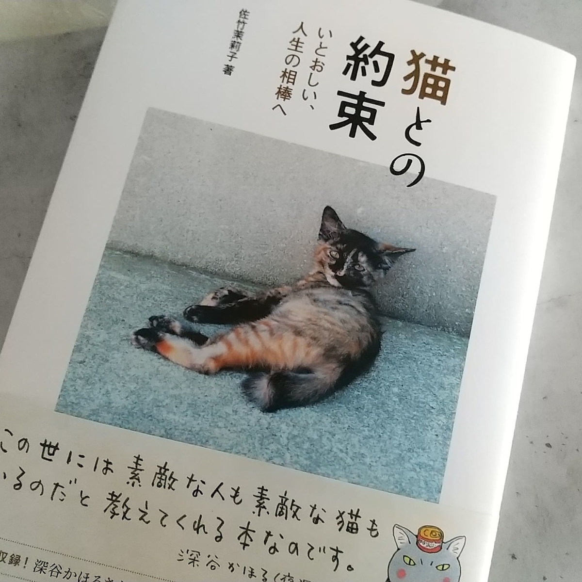 ラベンダー色の気持ち