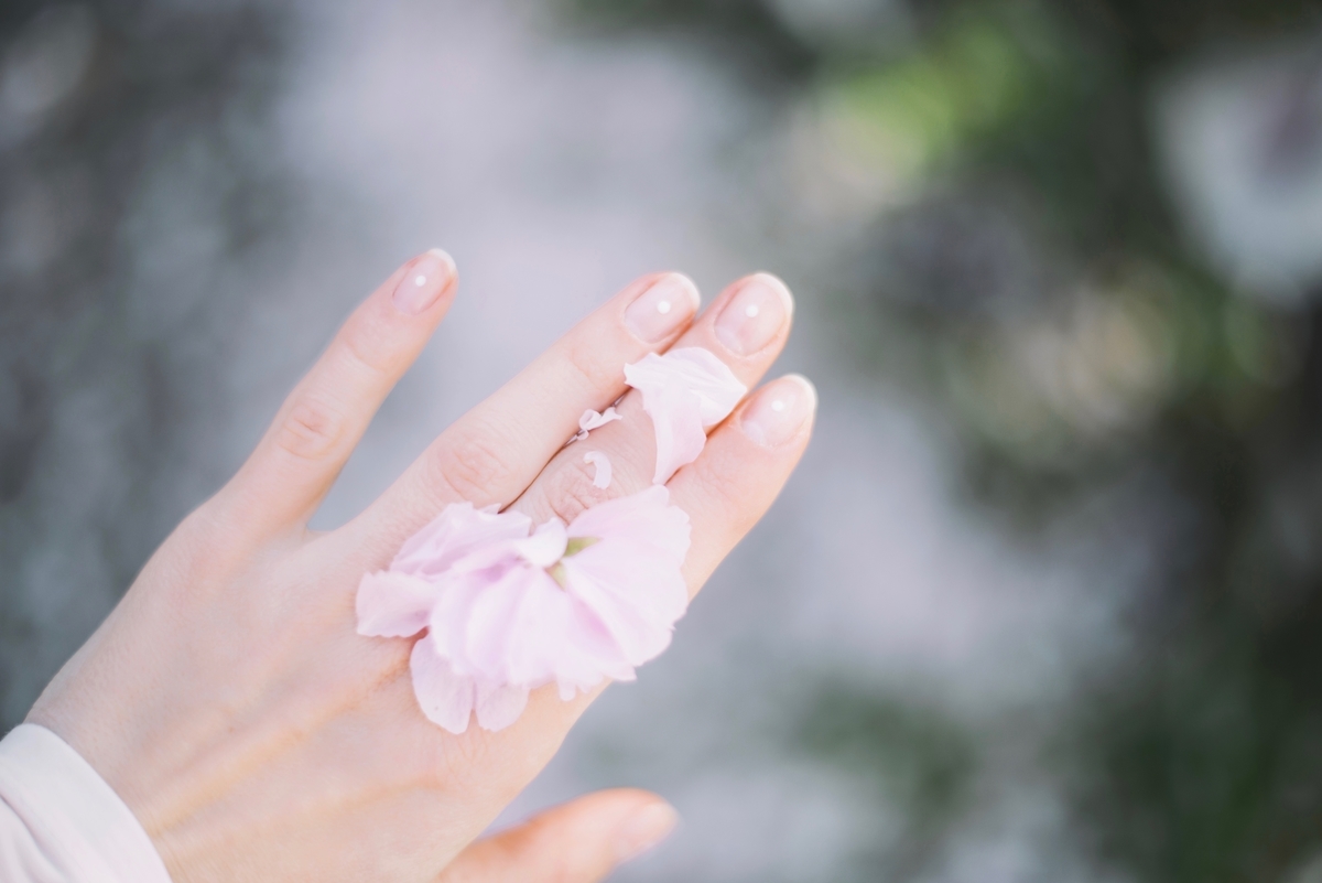 f:id:minticecream:20190829165306j:plain f:id:minticecream:20190829165306j:plain