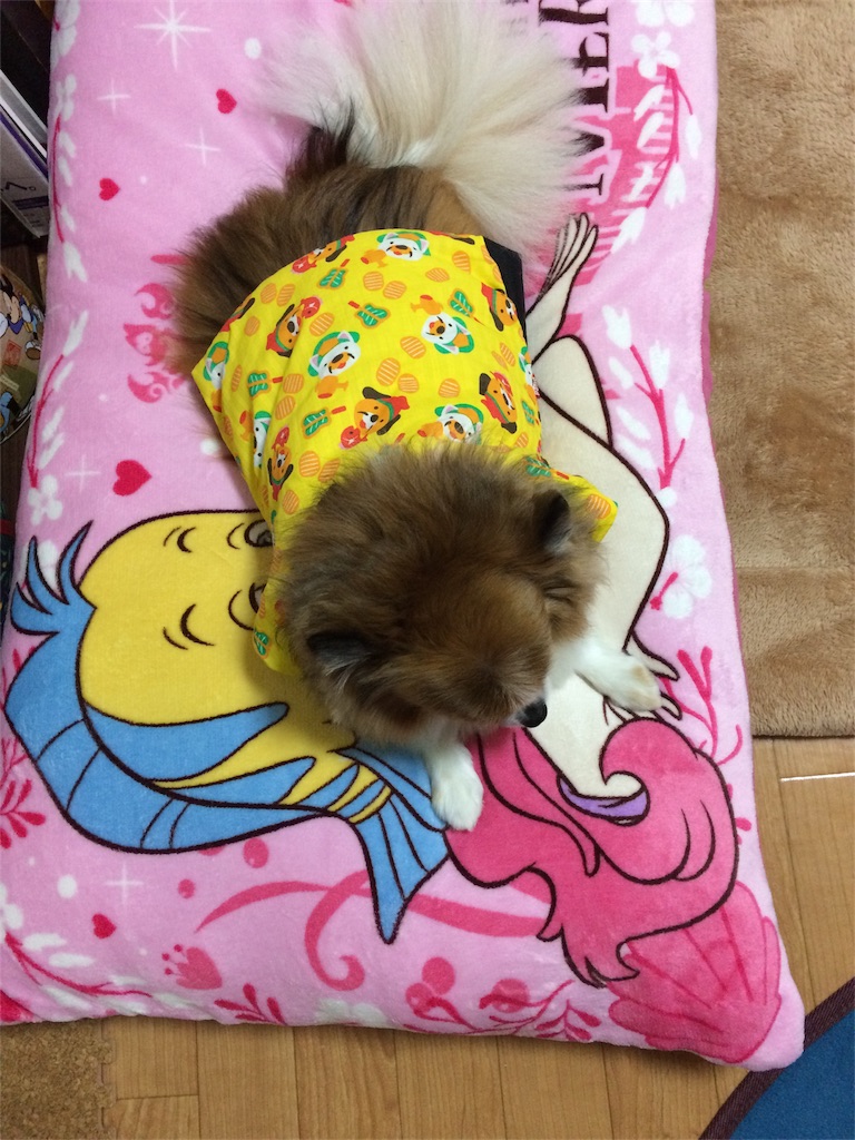 f:id:minto2012621:20161206180954j:image f:id:minto2012621:20161206180954j:image