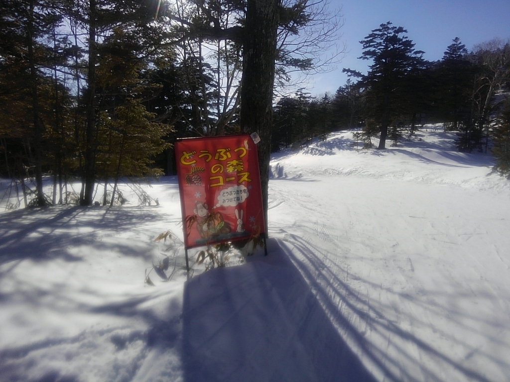 f:id:mintoblog:20190304224112j:plain f:id:mintoblog:20190304224112j:plain