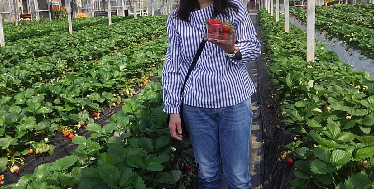 f:id:mintoblog:20190507225408j:plain f:id:mintoblog:20190507225408j:plain
