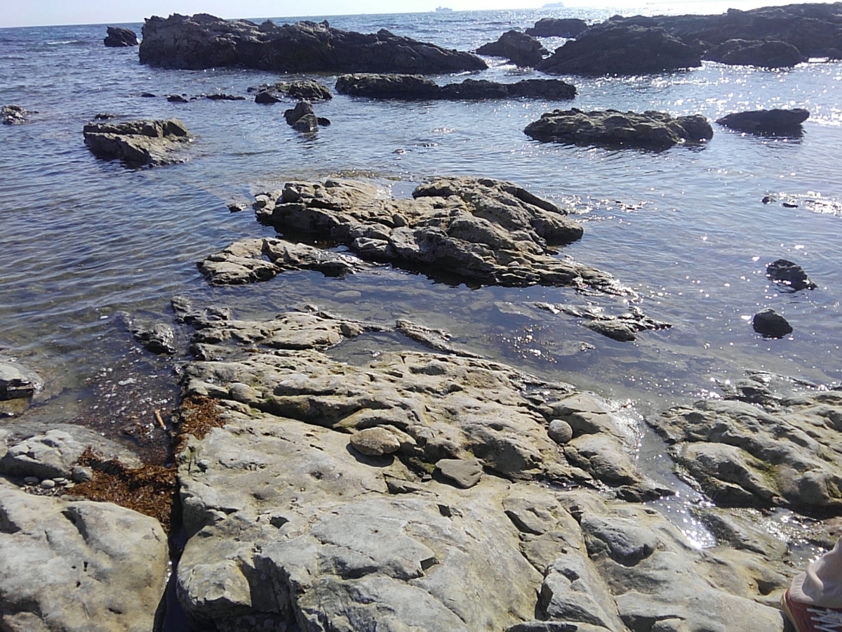 f:id:mintoblog:20190508225940j:plain f:id:mintoblog:20190508225940j:plain