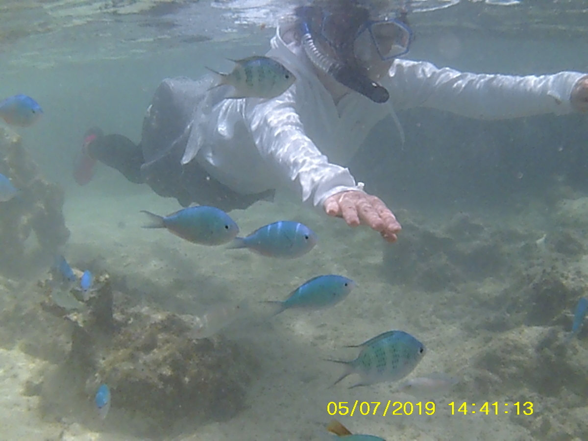 f:id:mintoblog:20190707222210j:plain f:id:mintoblog:20190707222210j:plain