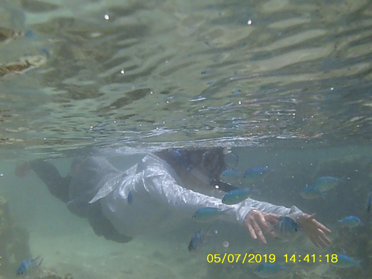 f:id:mintoblog:20190707222334j:plain f:id:mintoblog:20190707222334j:plain