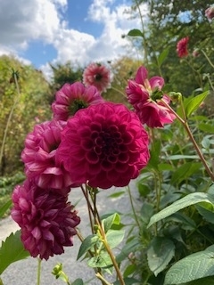 f:id:mintoblog:20211010205846j:plain