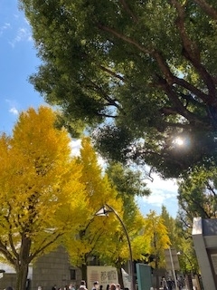 f:id:mintoblog:20211123221029j:plain