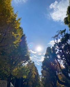 f:id:mintoblog:20211123221359j:plain