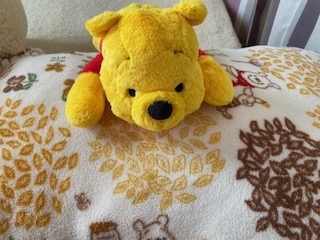 f:id:mintoblog:20211211141909j:plain