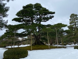 f:id:mintoblog:20220118232130j:plain