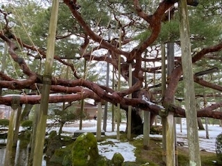 f:id:mintoblog:20220118232228j:plain