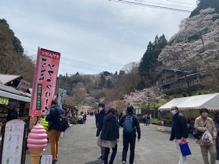 f:id:mintoblog:20220404225026j:plain
