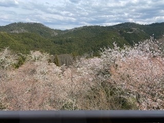 f:id:mintoblog:20220404225355j:plain