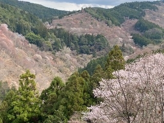 f:id:mintoblog:20220404225441j:plain