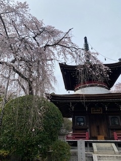 f:id:mintoblog:20220404231025j:plain