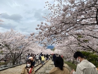 f:id:mintoblog:20220405225251j:plain