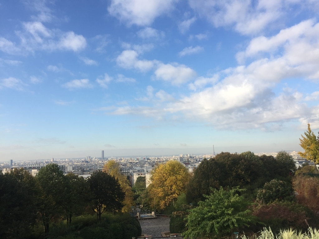 f:id:mintsherbet10:20181114204234j:plain