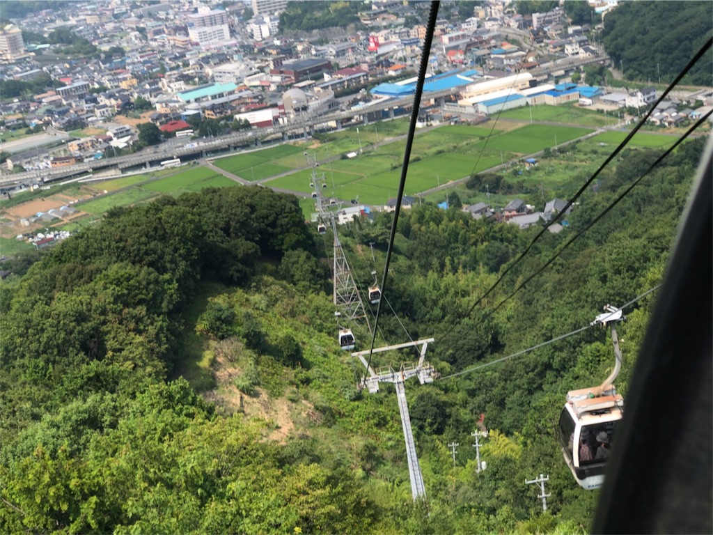 f:id:mintsuchi:20180807192252j:image f:id:mintsuchi:20180807192252j:image