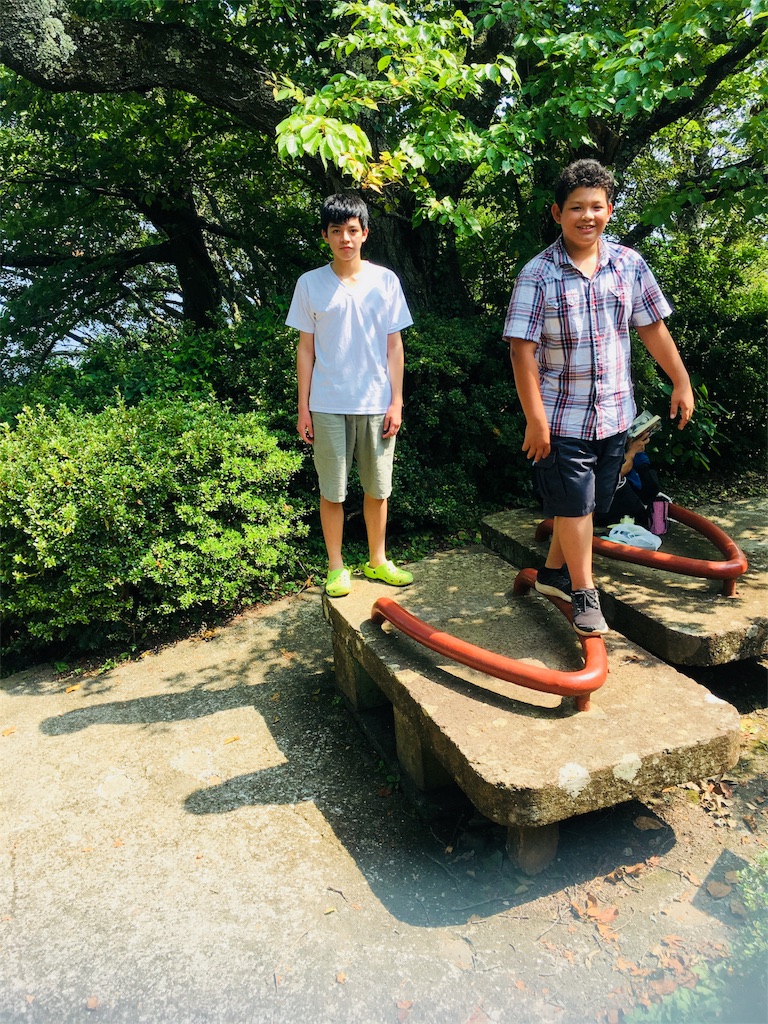 f:id:mintsuchi:20180807192456j:image f:id:mintsuchi:20180807192456j:image