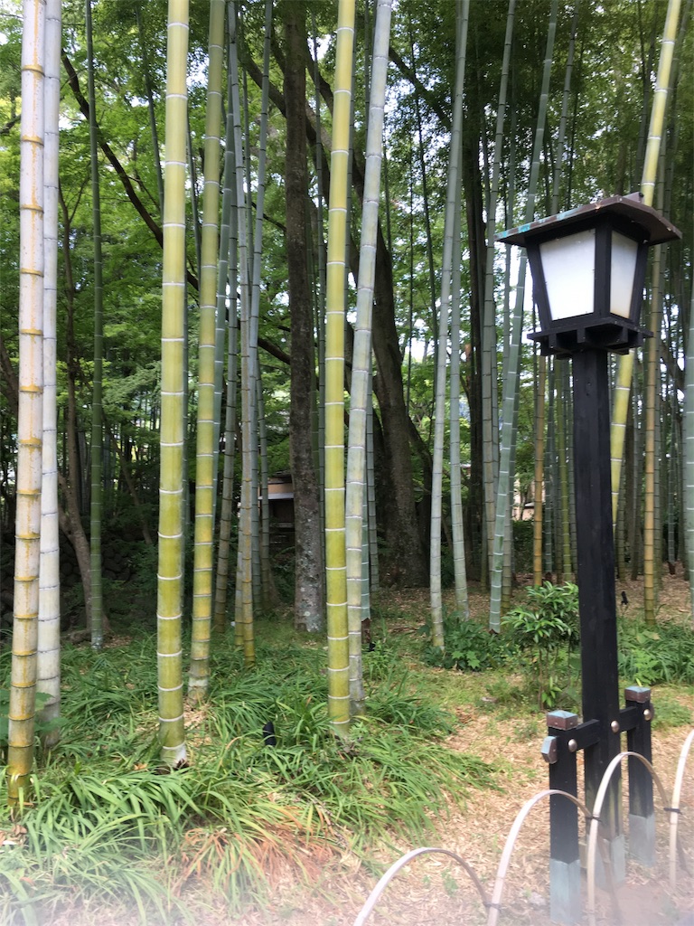 f:id:mintsuchi:20180807193741j:image f:id:mintsuchi:20180807193741j:image