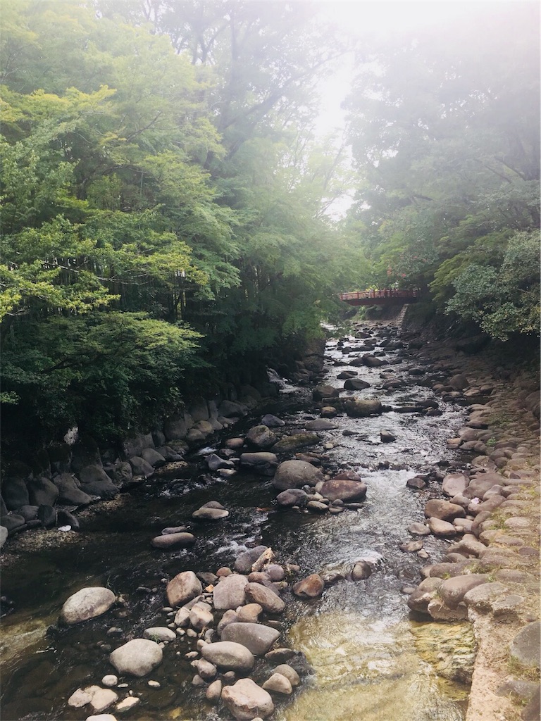 f:id:mintsuchi:20180807193806j:image f:id:mintsuchi:20180807193806j:image