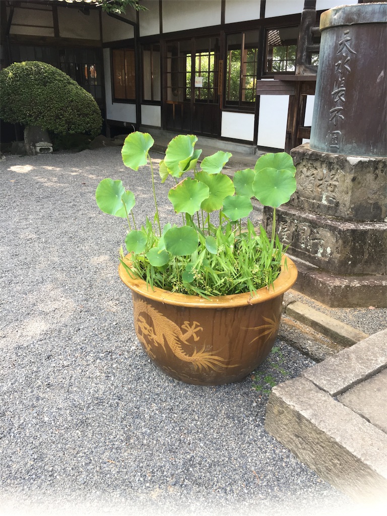 f:id:mintsuchi:20180807194221j:image f:id:mintsuchi:20180807194221j:image