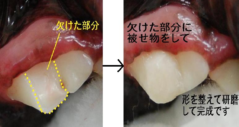 f:id:minvet2007:20121103191224j:image